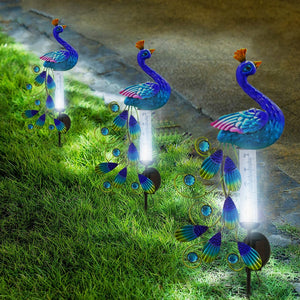 Peacock Solar Light with Rain Gauge