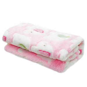 Soft and Fluffy High Quality Pet Blanket