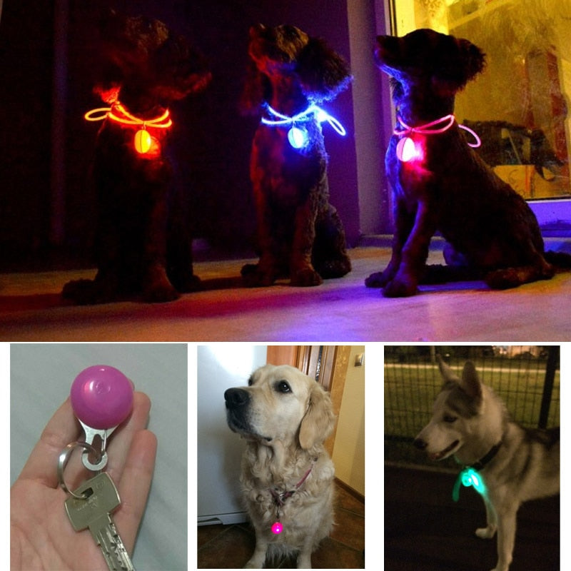 Night Safety Dog Collar Glowing Pendant LED Glow In The Dark Bright Necklace